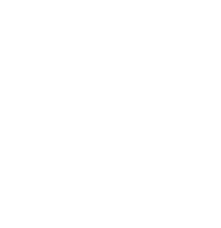 logo white